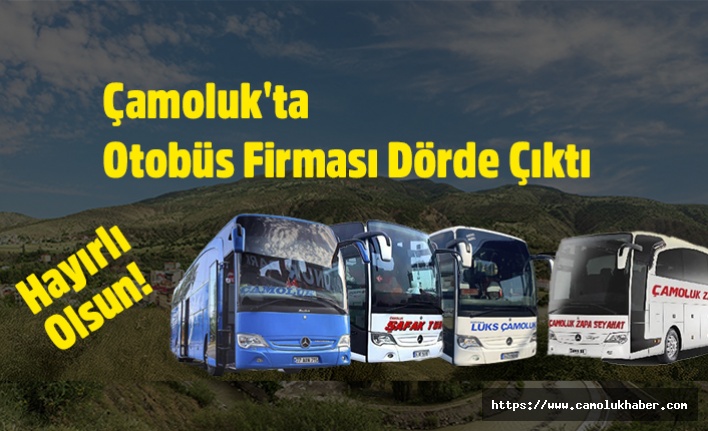 Çamoluk'ta  Otobüs Firması Dörde Çıktı