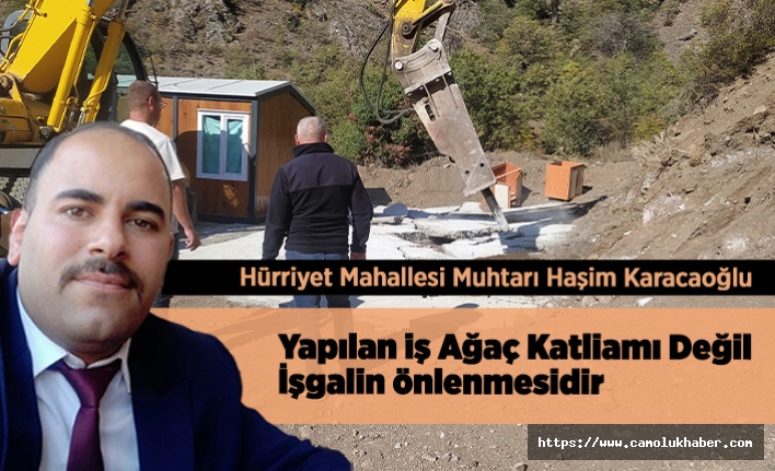 Haşim Karacaoğlu; Ağaç katliamı Değil İşgal önlendi