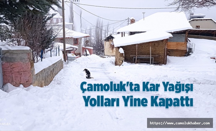 Çamoluk'ta Kar Yağışı Yolları Kapattı