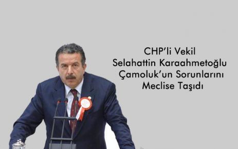 Çamoluk'un sorunları mecliste