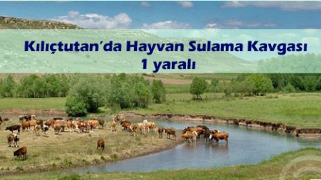  Kılıçtutan Köyünde Hayvan sulama sırası yüzünden kavgada 1 kişi yaralı