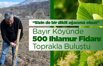 Bayır'da 500 Ihlamur Fidanı Toprakla Buluştu