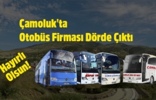 Çamoluk'ta Otobüs Firması Dörde Çıktı