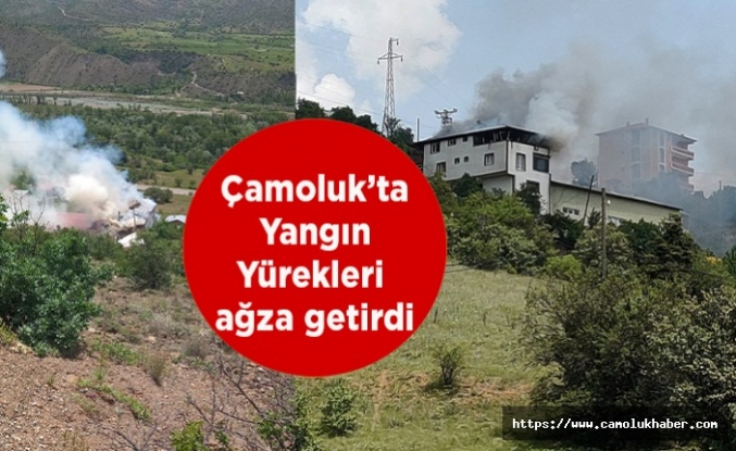 Çamoluk Karabayır'da Büyük Yangın