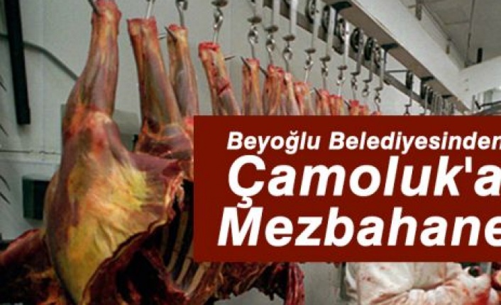 Beyoğlu Belediyesinden Çamoluka Mezbahane